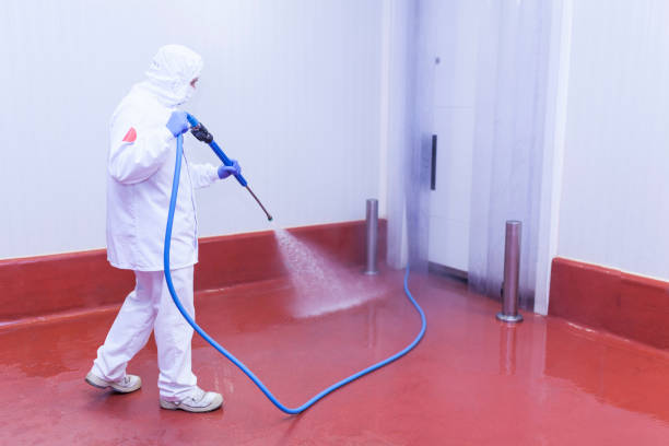 Best Pre-Holiday Cleaning  in Oakwood, OH